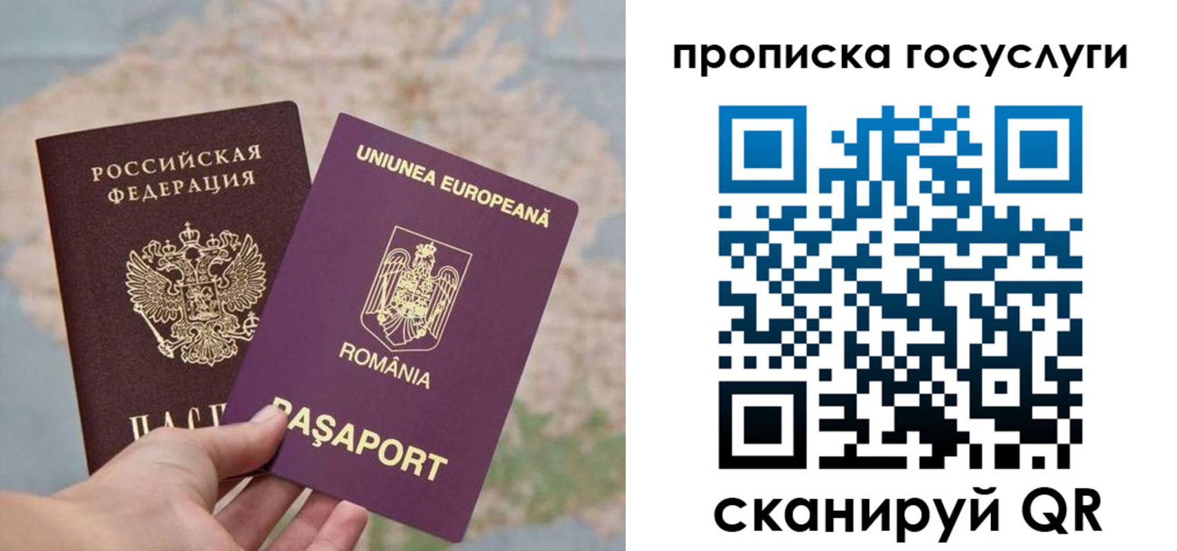 прописка паспорт в Тереке